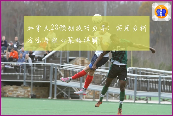 加拿大28预测技巧分享：实用分析方法与核心策略详解