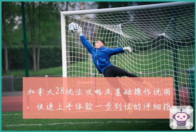 加拿大28玩法攻略及基础操作说明，快速上手体验一步到位的详细指南