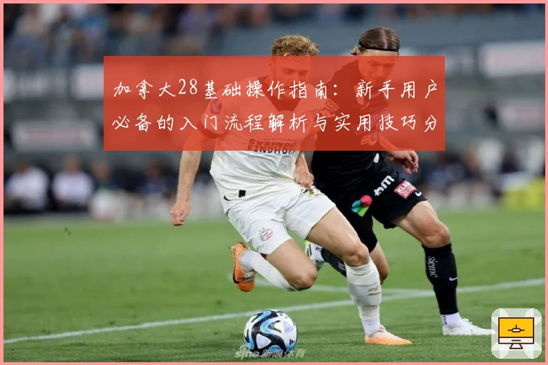 加拿大28基础操作指南：新手用户必备的入门流程解析与实用技巧分享