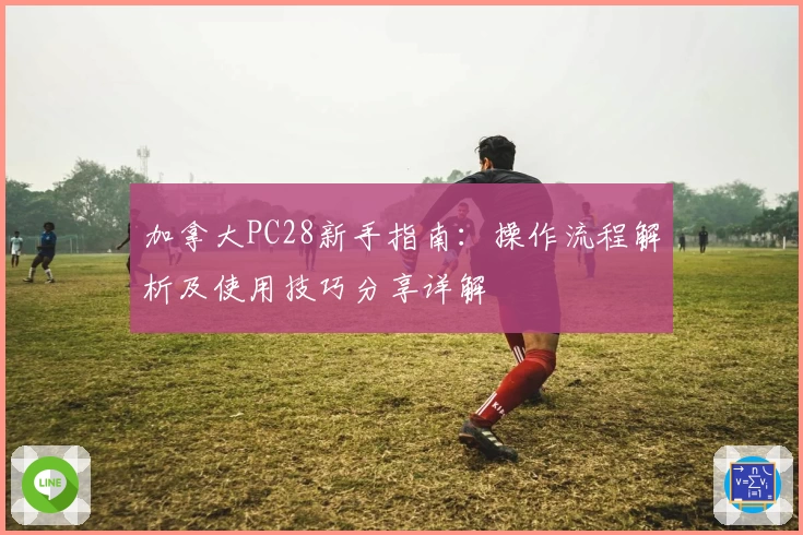 加拿大PC28新手指南：操作流程解析及使用技巧分享详解