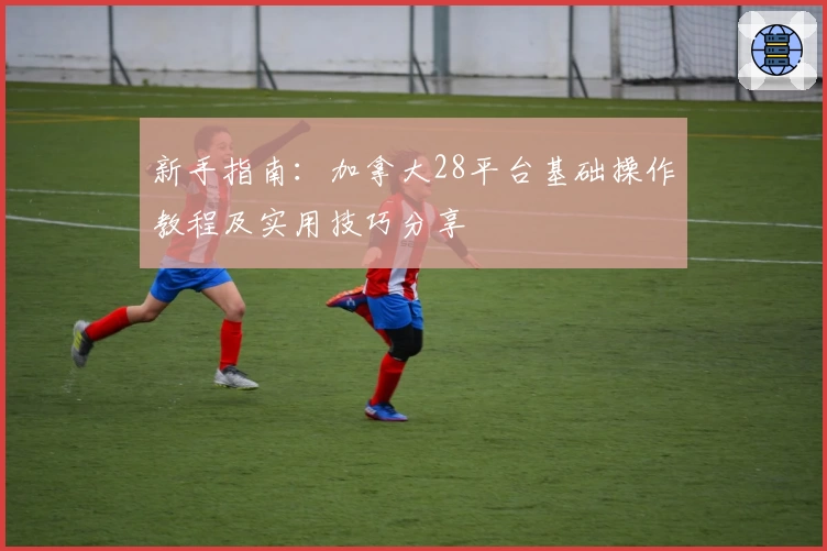 新手指南：加拿大28平台基础操作教程及实用技巧分享