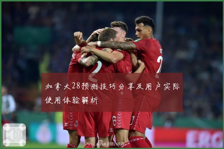 加拿大28预测技巧分享及用户实际使用体验解析