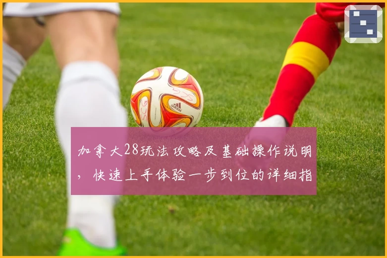 加拿大28玩法攻略及基础操作说明，快速上手体验一步到位的详细指南