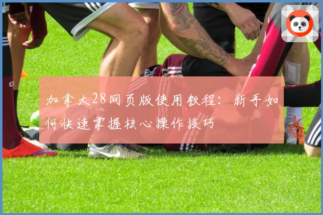 加拿大28网页版使用教程：新手如何快速掌握核心操作技巧