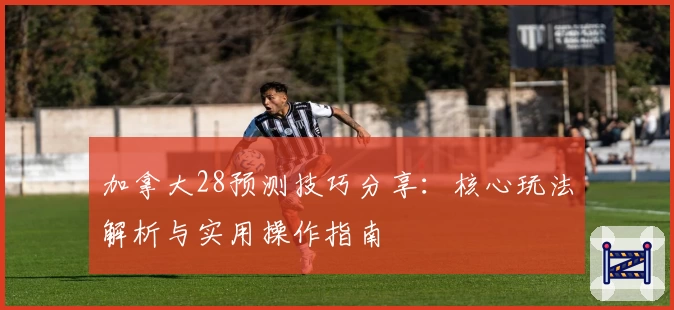 加拿大28预测技巧分享：核心玩法解析与实用操作指南