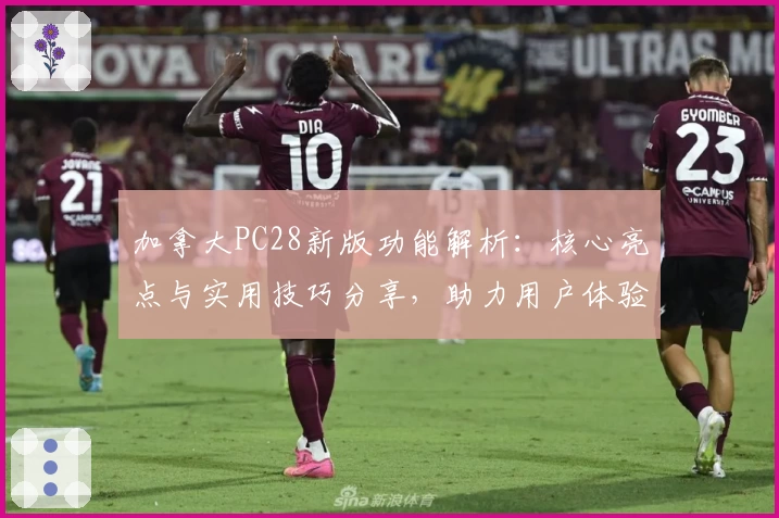 加拿大PC28新版功能解析：核心亮点与实用技巧分享，助力用户体验全面升级