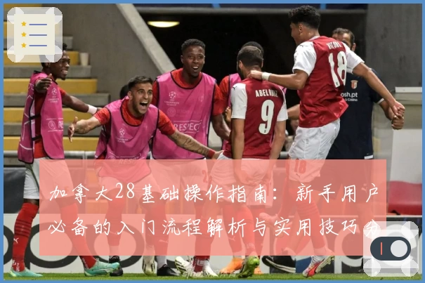 加拿大28基础操作指南：新手用户必备的入门流程解析与实用技巧分享