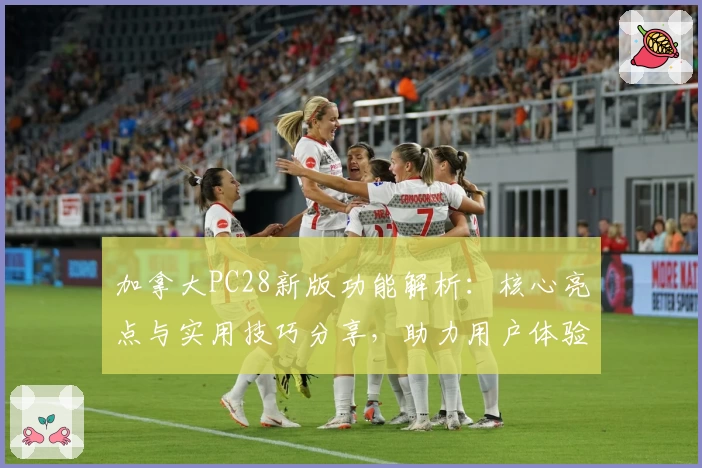加拿大PC28新版功能解析:核心亮点与实用技巧分享,助力用户体验全面升级