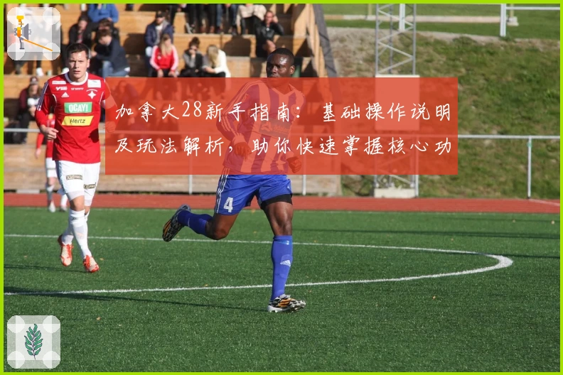 加拿大28新手指南：基础操作说明及玩法解析，助你快速掌握核心功能