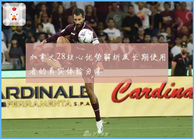 加拿大28核心优势解析及长期使用者的真实体验分享